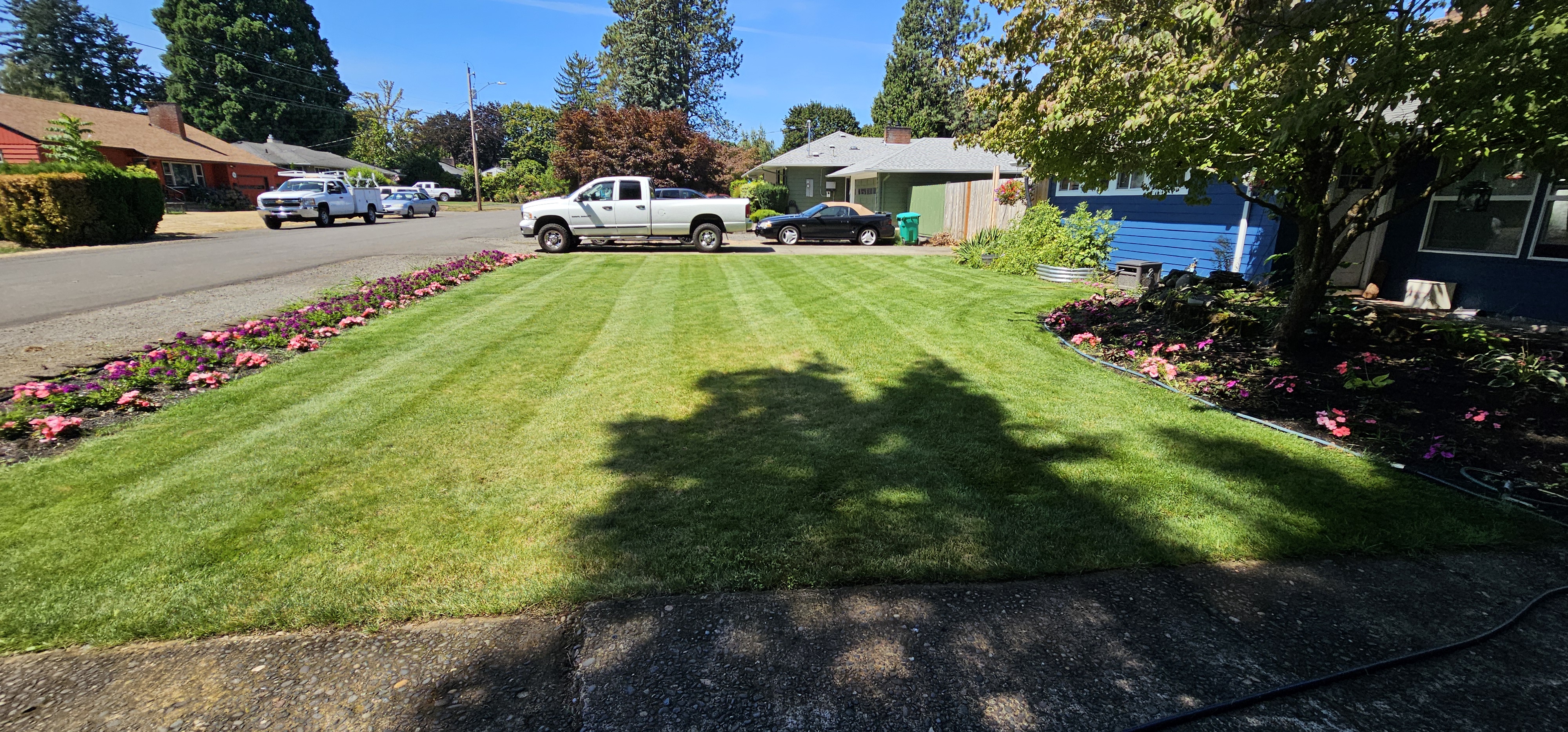 Edged lawn and clean walkway